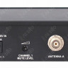 PROAUDIO DWS-822PT радиосистема с двумя головными микрофонами + кейс
