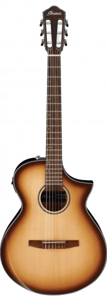 IBANEZ AEWC300N-NNB AEWC электроакустическая гитара