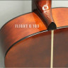 Flight C100/LH 4/4 классическая гитара