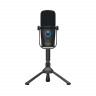 Микрофон динамический BEHRINGER D2 PODCAST PRO