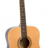 ROCKDALE Aurora D1CN Акустическая гитара