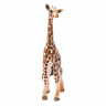 Фигурка Schleich Детеныш жирафа