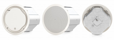Сабвуфер Tannoy CVS 801S потолочный с колпаком