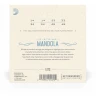 Струны для мандолины D'ADDARIO EJ72 Light легкое натяжение