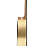 PRUDENCIO Intermediate Classical Model G-11 (4-M) гитара классическая