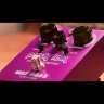 DUNLOP WHE201 Pork Loin Soft Clip Injection Overdrive