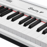Цифровое фортепиано EMILY PIANO  D-2088 WH