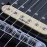 SCHECTER CORSAIR G. BLACK полуакустическая гитара