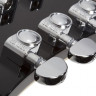 SCHECTER CORSAIR G. BLACK полуакустическая гитара