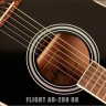 Flight AD-200 BK акустическая гитара