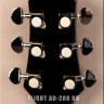Flight AD-200 BK акустическая гитара