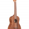 Укулеле-концерт KALA KA-TEAK-C корпус - тик, цвет - натуральный