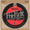 Струны для классической гитары D'ADDARIO EJ47 Gold, Normal Tension