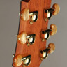 Crafter SM-Rose Plus электроакустическая гитара