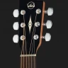 VGS RT-10 Root Natural Satin акустическая гитара