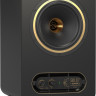 Монитор ближнего поля Tannoy GOLD 7 активный коаксиальный