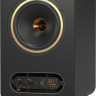 Монитор ближнего поля Tannoy GOLD 7 активный коаксиальный