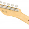 FENDER AMERICAN PERFORMER TELECASTER® RW HONEY BURST электрогитара с чехлом