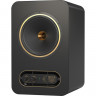 Монитор ближнего поля Tannoy GOLD 8 активный коаксиальный