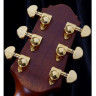 CRAFTER SR G-1000ce электроакустическая гитара с кейсом