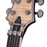 SCHECTER BANSHEE ELITE-6 FR-S GNAT электрогитара