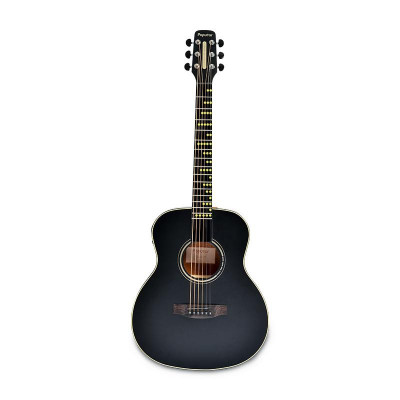 Умная акустическая гитара POPUMUSIC Poputar T2 Smart Guitar Solid Top Edition