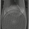 XLine PAS-12A Акустическая система активная 2-полосная с MP3 плеером
