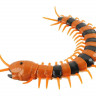 ИК Сороконожка Best Fun Toys 9901 Centipede свет