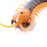ИК Сороконожка Best Fun Toys 9901 Centipede свет