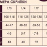 FLIGHT FV-244 4/4 скрипка комплект