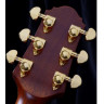 CRAFTER SRP G-36ce электроакустическая гитара с чехлом