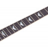 SCHECTER BANSHEE-6 EXTREME CB электрогитара