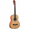 Гитара классическая 4/4 TERRIS TC-395A NA