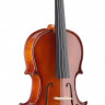 STAGG VL-4/4 скрипка полный комплект + футляр