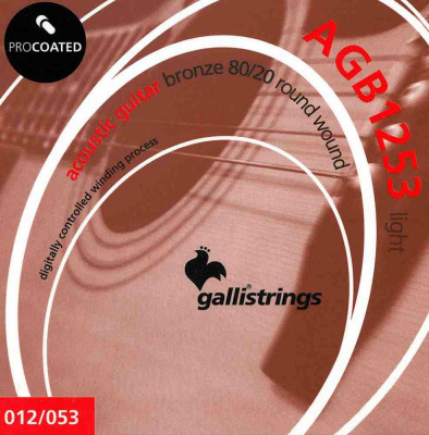 Комплект струн для акустической гитары GALLI STRINGS AGB1253