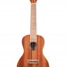 KALA KA-C Kala Mahogany Concert Ukulele укулеле-концерт