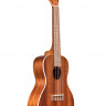 KALA KA-C Kala Mahogany Concert Ukulele укулеле-концерт