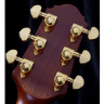 CRAFTER TB G-1000ce электроакустическая гитара с кейсом