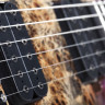 SCHECTER C-6 FR PRO ARB электрогитара