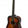 Vision Acoustic 30SB акустическая гитара