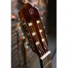 PEREZ 620 Cedar LTD 2019 4/4 классическая гитара