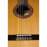 PEREZ 620 Cedar LTD 2019 4/4 классическая гитара