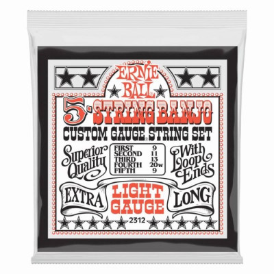 ERNIE BALL 2312 (9-20) для 5-струнного банджо