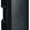 Alto TS310 2-полосная активная акустическая система, динамик 10'