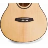 Акустическая гитара TOM GA-T1M