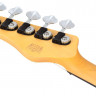 SCHECTER CV-5 BASS NAT 5-струнная бас-гитара