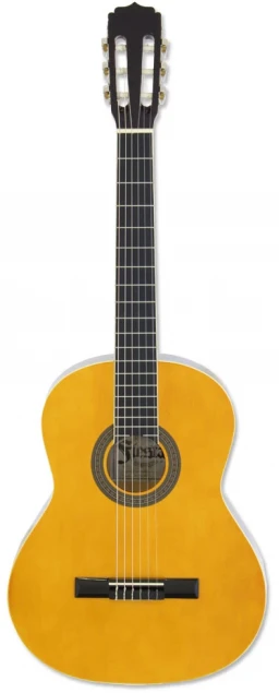 ARIA FIESTA FST-200-53 N 1/2 классическая гитара