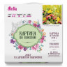 Картина по номерам 30х30 Иволги (21 цвет)