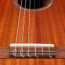 CORDOBA IBERIA C4-CE, Edge Burst finish классическая гитара со звукоснимателем
