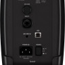 IK MULTIMEDIA iLoud MTM студийный монитор 2x3.5 100 Вт DSP ARC System